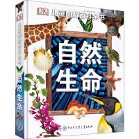 啟迪童心，點亮未來——少兒期刊的出版與使命